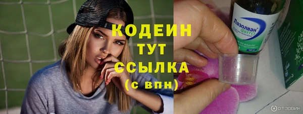 гашик Новозыбков