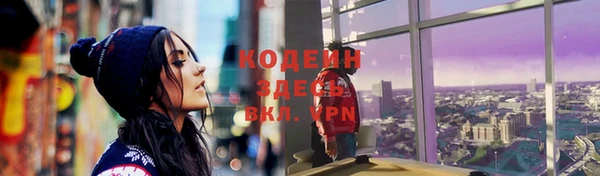 гашик Новозыбков