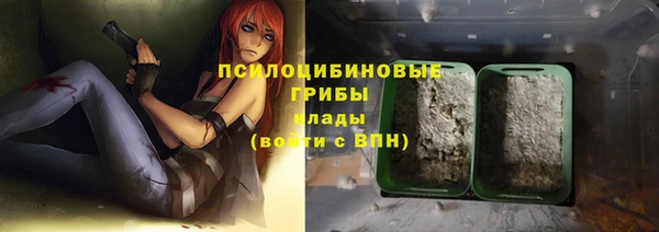 гашик Новозыбков