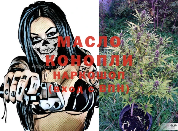 прущие грибы Нефтекумск